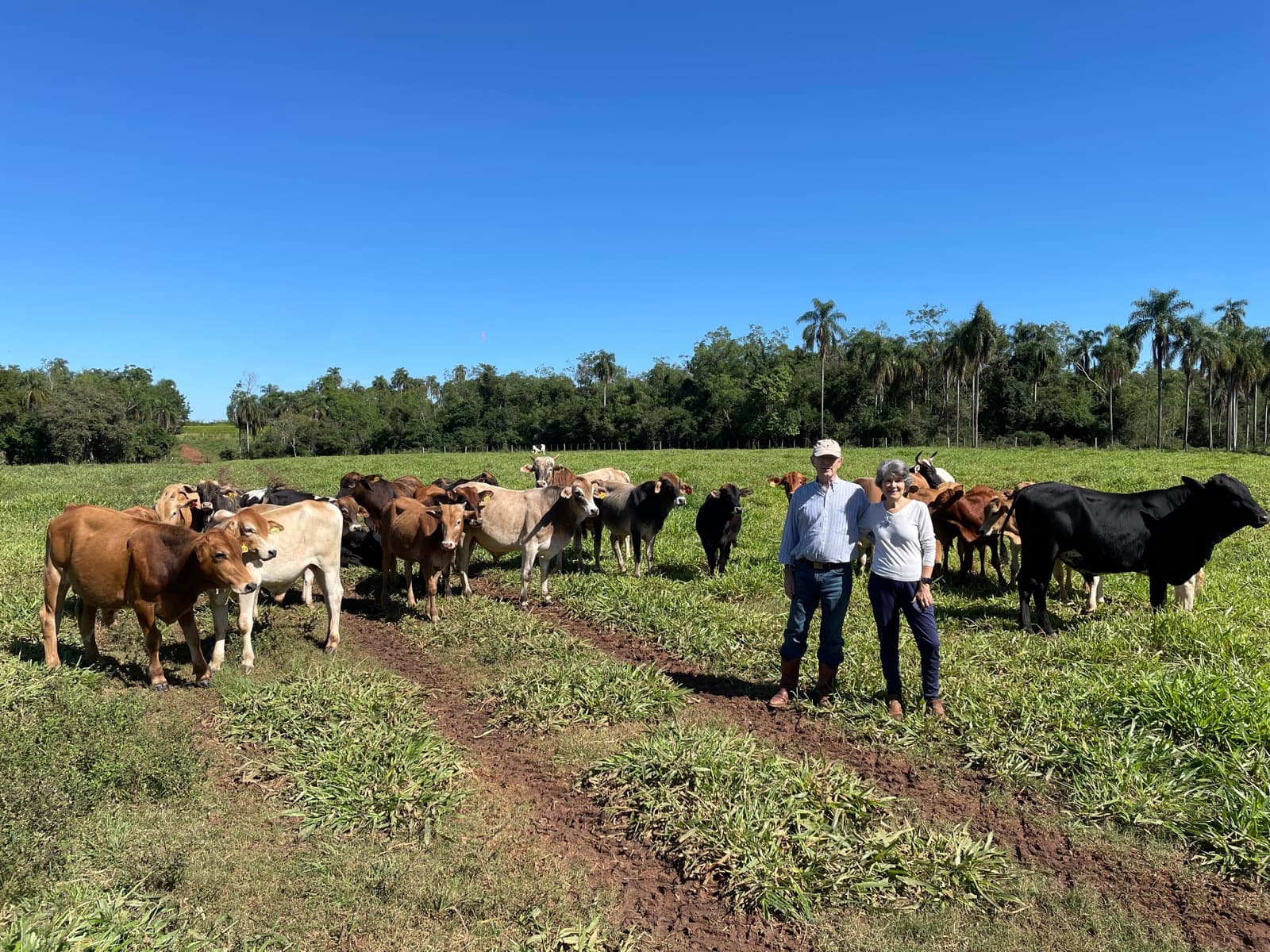 Productores con su rodeo en el campo